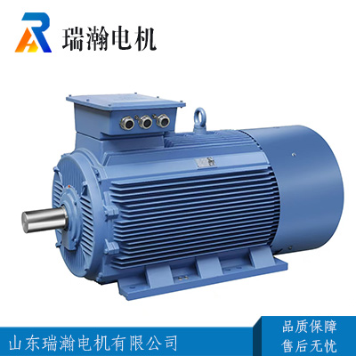 Y-HSeries three phase marine motor