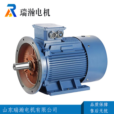 Y-HSeries three phase marine motor