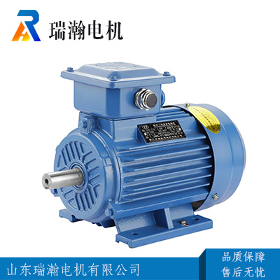 Y-HSeries three phase marine motor